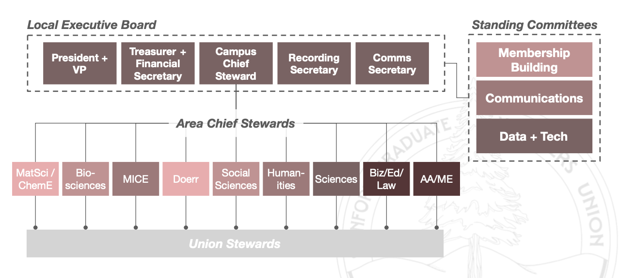 Our organizational structure